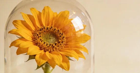 风祥保观察：买完保险只是开始，理赔才是真正的考验